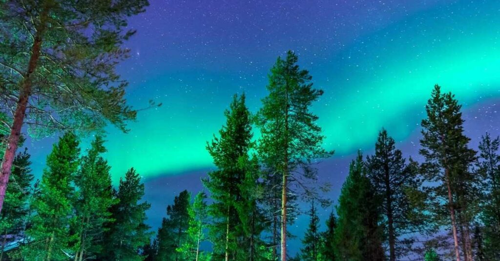 Atividade de Interpretação de Texto Aurora Boreal no Brasil