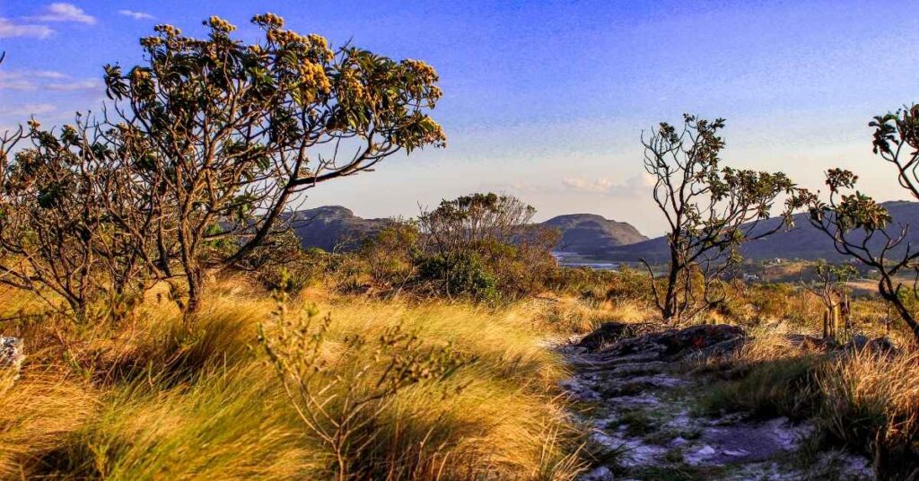 Atividade sobre Estereótipos e Paisagens Brasileiras na Mídia – Geografia 7º Ano