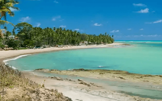 Foto turística de uma praia de areia branca e mar azul no Nordeste
